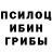 Псилоцибиновые грибы прущие грибы Oleg Romanchuk