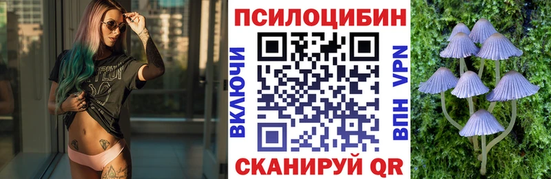 как найти закладки Вихоревка Псилоцибиновые грибы мицелий